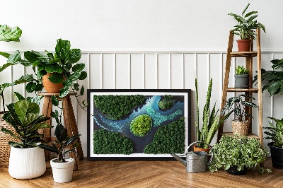 Moos bild Insel auf den Backwaters