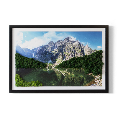 Moosbild lebend Tatra Mountains - Morskie Oko