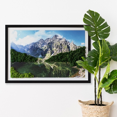 Moosbild lebend Tatra Mountains - Morskie Oko