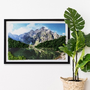 Moosbild lebend Tatra Mountains - Morskie Oko
