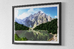 Moosbild lebend Tatra Mountains - Morskie Oko