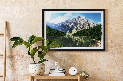 Moosbild lebend Tatra Mountains - Morskie Oko