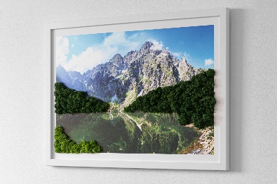 Moosbild lebend Tatra Mountains - Morskie Oko
