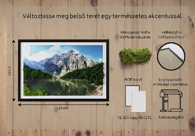 Moosbild lebend Tatra Mountains - Morskie Oko