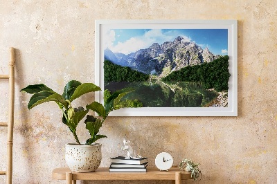Moosbild lebend Tatra Mountains - Morskie Oko