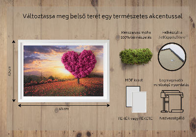 Moos bild Herz -verdrängter Baum