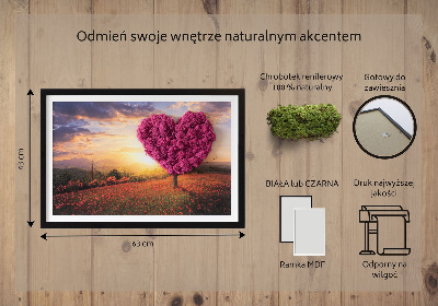 Moos bild Herz -verdrängter Baum