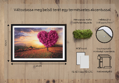 Moos bild Herz -verdrängter Baum