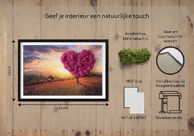Moos bild Herz -verdrängter Baum