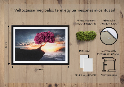 Moosbild lebend Ein Baum über dem Abgrund