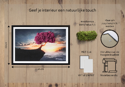 Moosbild lebend Ein Baum über dem Abgrund