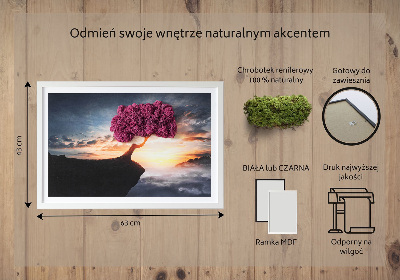 Moosbild lebend Ein Baum über dem Abgrund