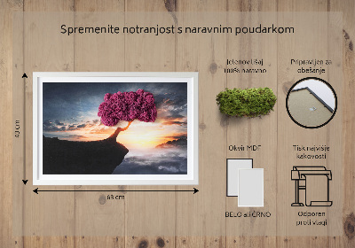 Moosbild lebend Ein Baum über dem Abgrund