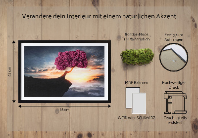 Moosbild lebend Ein Baum über dem Abgrund