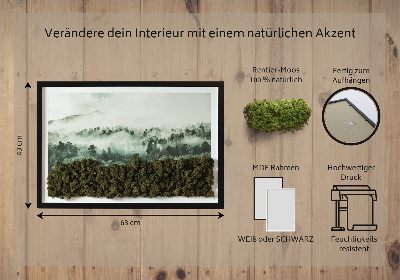 Moos bild Wald im Nebel