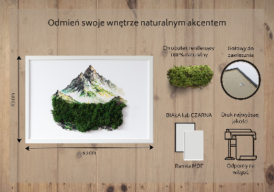 Moosbild Die Spitze des Berges über dem Wald