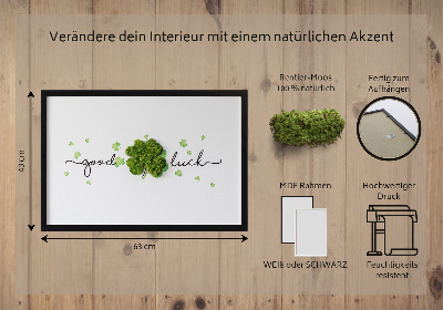 Moos bild wand Die Inschrift viel Glück Klee