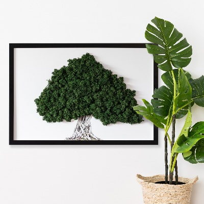 Moos bild Ein Baum mit Wurzeln auf einem weißen Hintergrund