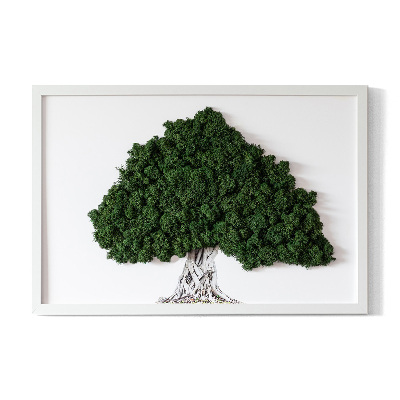 Moos bild Ein Baum mit Wurzeln auf einem weißen Hintergrund