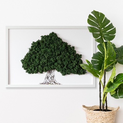 Moos bild Ein Baum mit Wurzeln auf einem weißen Hintergrund