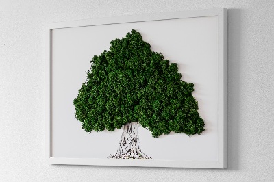Moos bild Ein Baum mit Wurzeln auf einem weißen Hintergrund