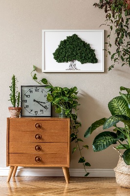 Moos bild Ein Baum mit Wurzeln auf einem weißen Hintergrund