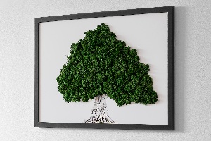 Moos bild Ein Baum mit Wurzeln auf einem weißen Hintergrund