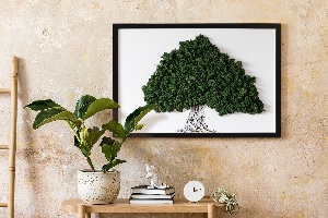 Moos bild Ein Baum mit Wurzeln auf einem weißen Hintergrund