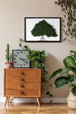 Moos bild Ein Baum mit Wurzeln auf einem weißen Hintergrund