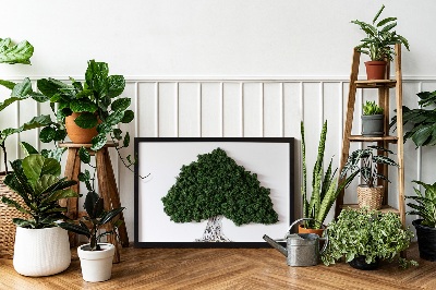 Moos bild Ein Baum mit Wurzeln auf einem weißen Hintergrund