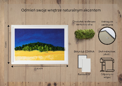 Moos bild Blaue gelbe Landschaft