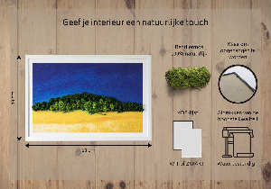 Moos bild Blaue gelbe Landschaft