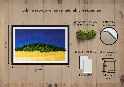 Moos bild Blaue gelbe Landschaft