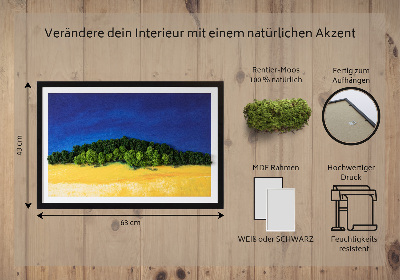 Moos bild Blaue gelbe Landschaft