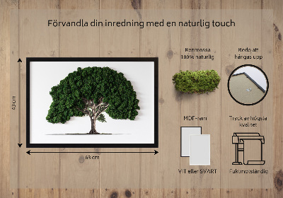 Moosbild Ein Baum auf einem weißen Hintergrund