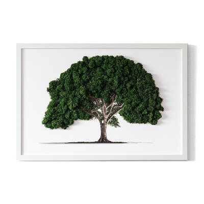 Moosbild Ein Baum auf einem weißen Hintergrund