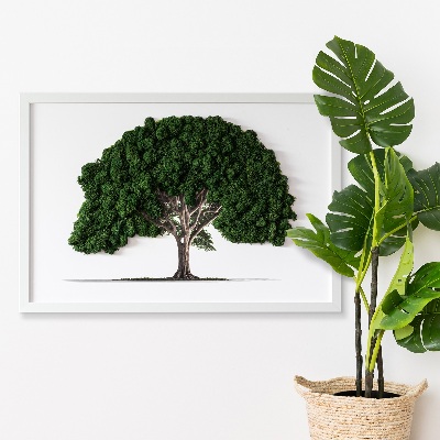 Moosbild Ein Baum auf einem weißen Hintergrund