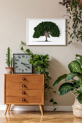 Moosbild Ein Baum auf einem weißen Hintergrund