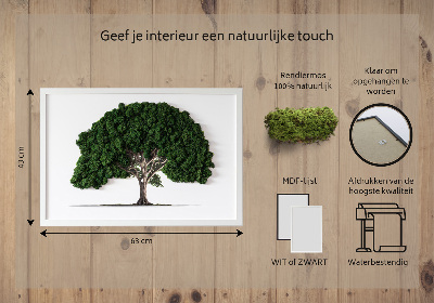 Moosbild Ein Baum auf einem weißen Hintergrund