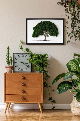 Moosbild Ein Baum auf einem weißen Hintergrund