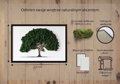 Moosbild Ein Baum auf einem weißen Hintergrund