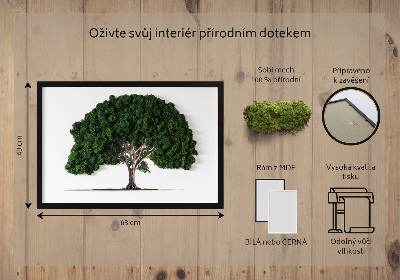 Moosbild Ein Baum auf einem weißen Hintergrund