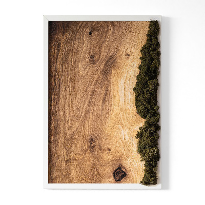 Moosbild Natürliche Eiche