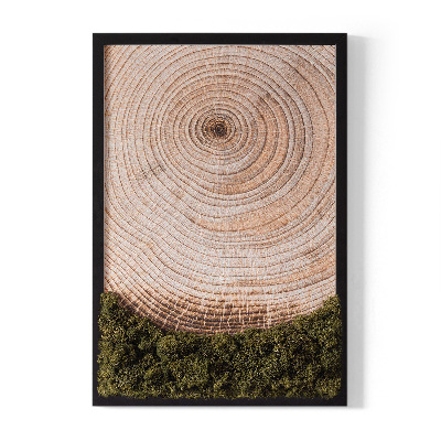 Moos bild Holzmaserung