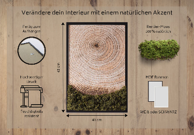 Moos bild Holzmaserung