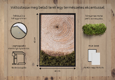 Moos bild Holzmaserung