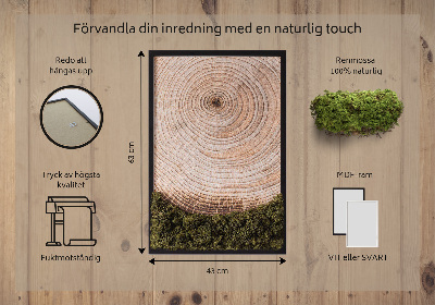Moos bild Holzmaserung