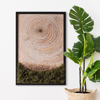 Moos bild Holzmaserung