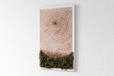 Moos bild Holzmaserung