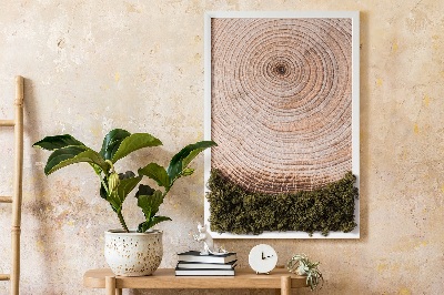 Moos bild Holzmaserung